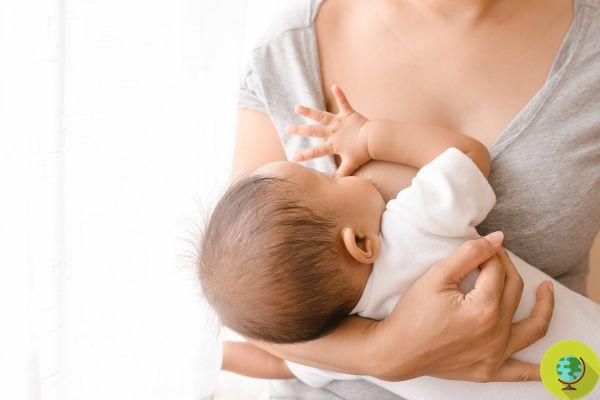 Defendemos la leche materna (y a nuestros bebés) de los químicos tóxicos