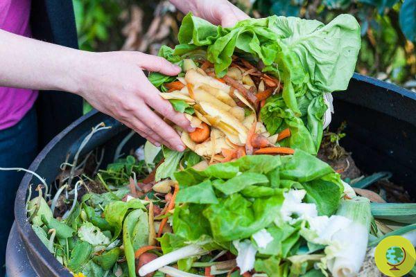 Bokashi: Try the super easy Japanese composting method to do at home