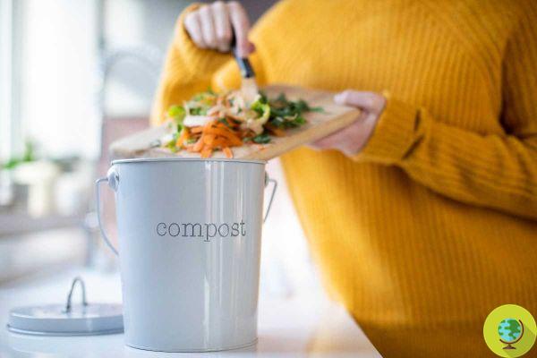 Bokashi : Essayez la méthode de compostage japonais super facile à faire à la maison