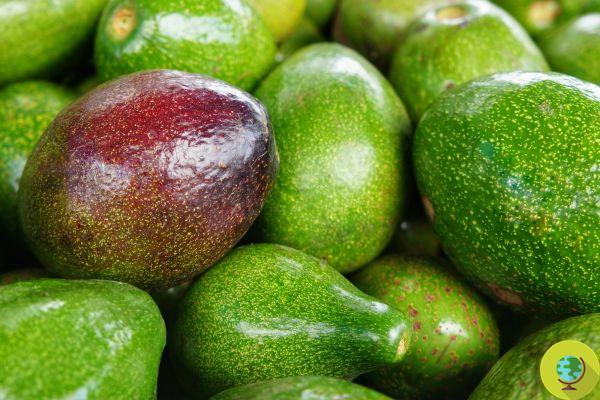 Abacate, abacaxi, mamão: frutas (e vegetais) com MENOS pesticidas