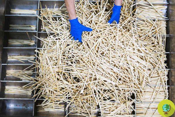 Sustainable furniture and furnishings from the recycling of disposable chopsticks, thus this Canadian company has saved more than a billion kg CO2