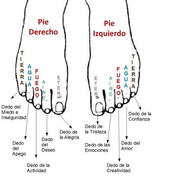 Dedos dos pés: Aprenda a lê-los para conhecer sua personalidade