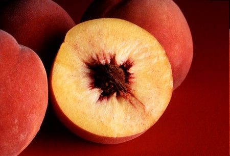 5 fruit trees to grow from seed