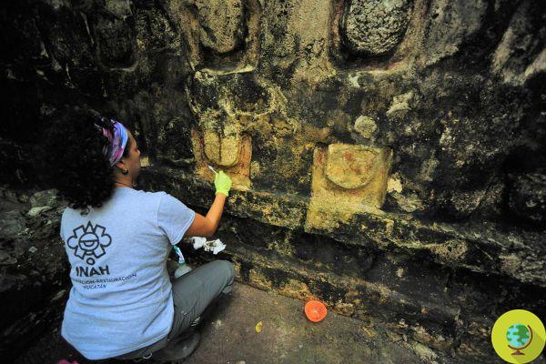 Um palácio maia extraordinário descoberto no México