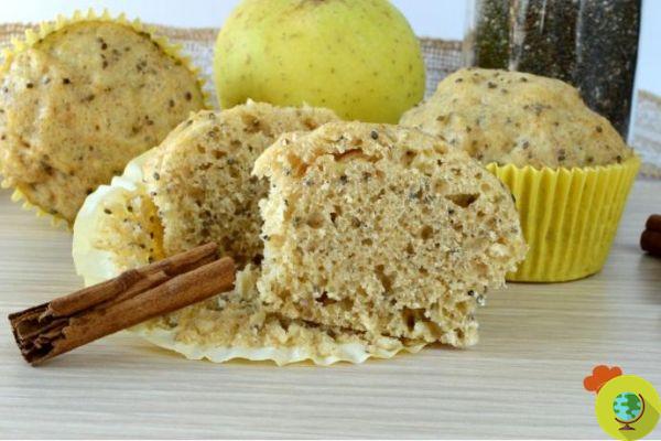 Steamed apple, cinnamon and chia seed muffins. Recipe without butter and without oven