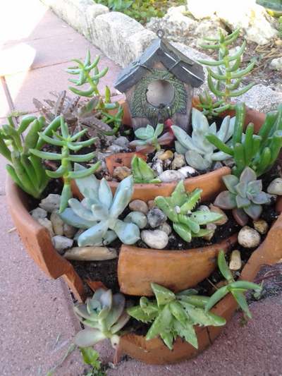 How to build mini-gardens from broken pots