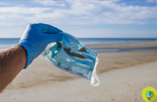 Coronavirus : les masques et gants jetables créent une nouvelle crise de la pollution plastique