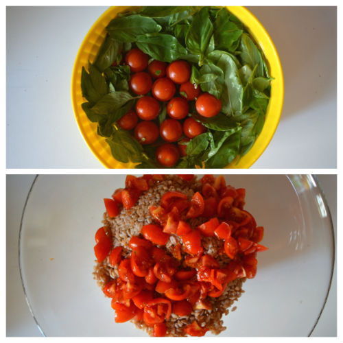 Ensalada de espelta, pesto y tomate cherry