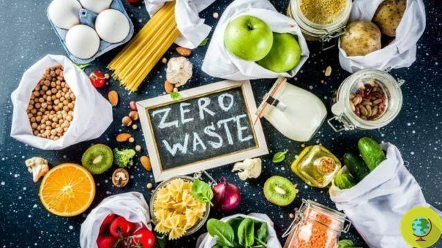 Zero desperdício: 5 maneiras de reduzir o desperdício de alimentos e economizar dinheiro