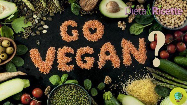 Dieta vegetariana e vegana: como garantir todas as proteínas que você precisa