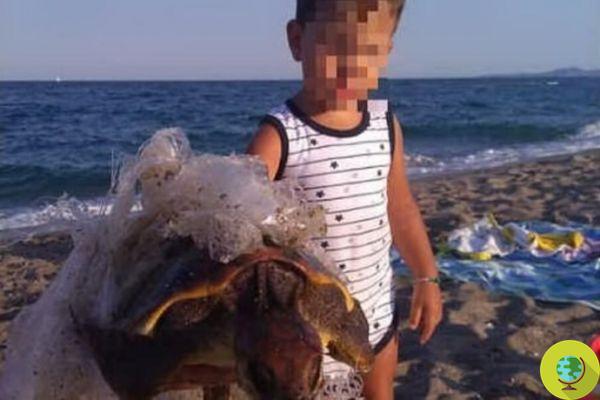 La tortue sauvée par la petite Gabriele est morte : il avait avalé trop de plastique et de lignes