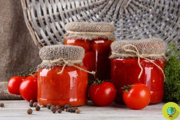 Do-it-yourself preserves: 10 sauces and preparations under glass to enjoy vegetables all year round