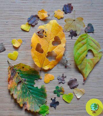 De folhas a papel reciclado, como fazer confetes DIY sem custo