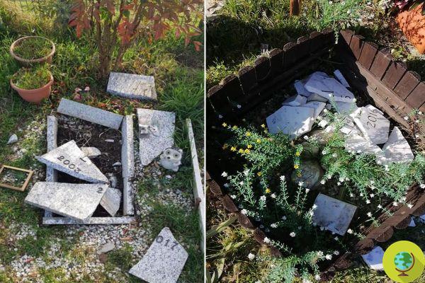 Des vandales ciblent le cimetière animalier d'Alexandrie en détruisant de petites pierres tombales