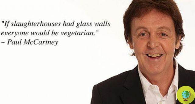 Vegetarians for a day: Paul McCartney launches 