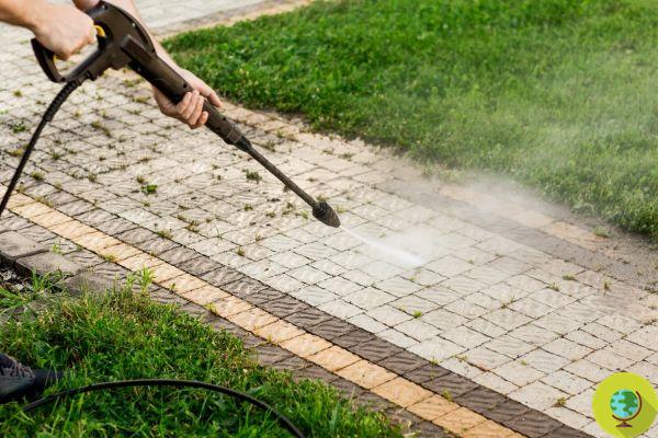 Comment nettoyer la mousse des sols : 7 astuces pour l'enlever (et 2 pour la prévenir)