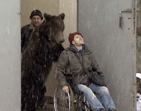 Aspirant dompteur déchiqueté par un ours dans le cirque de Moscou. 