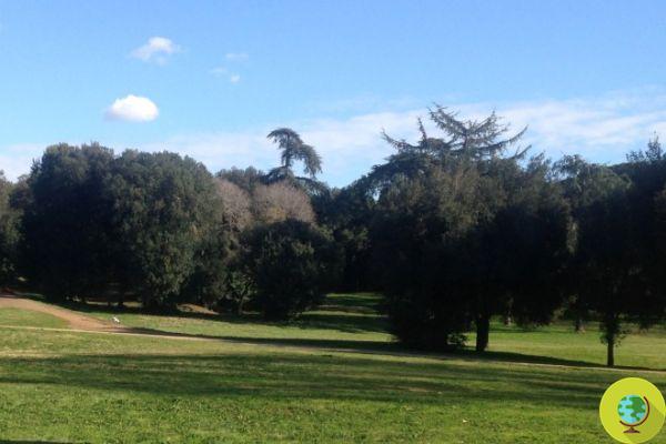 Aviaria à Rome, un secteur du parc de la Villa Pamphili fermé au public par précaution