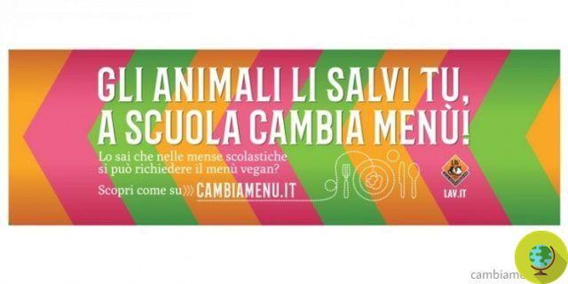 Vegan menu in school canteens: from February it will be available in Bologna
