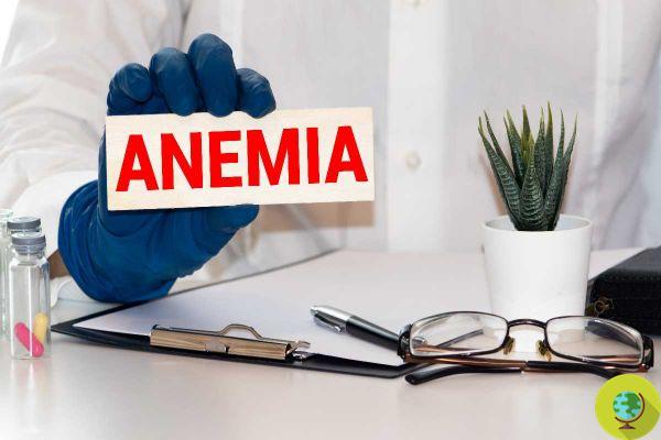 Vitamin B12 and B9 anemia: causes, symptoms and how to prevent it