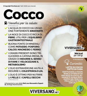 Coco: calorias, propriedades e benefícios para a saúde