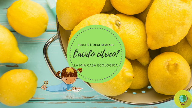 Acide citrique : comment l'utiliser et pourquoi le préférer au vinaigre dans le nettoyage