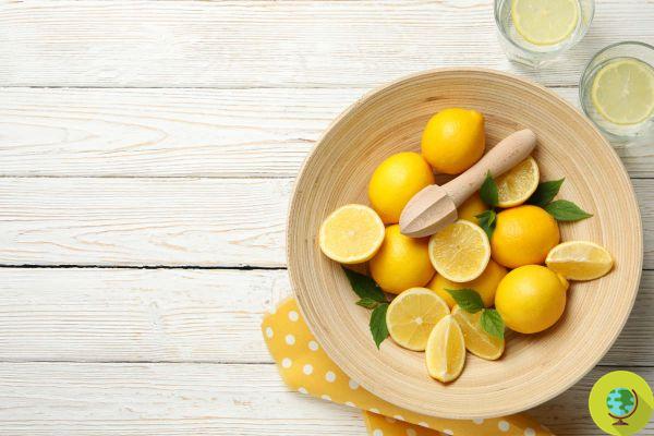 Ginger and lemon: what happens to the body by taking them every day