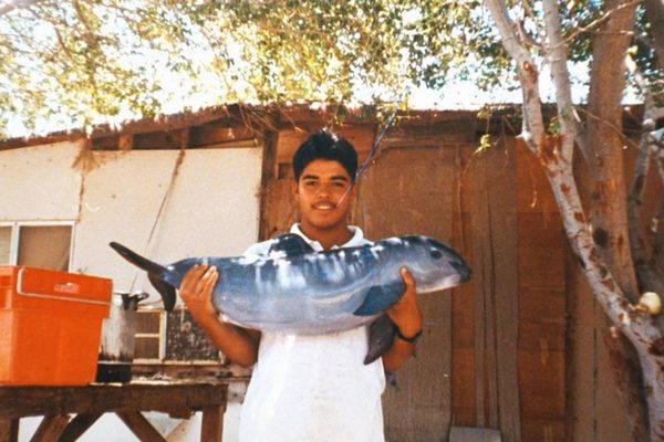Red alert for the vaquita, the marine 'panda' is almost extinct (PHOTO and VIDEO)