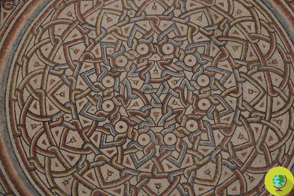 Um maravilhoso mosaico do século VIII foi trazido de volta à luz. Está localizado na Palestina e é um dos maiores do mundo