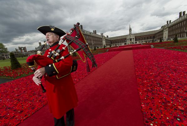 The extraordinary red carpet made up of 300 crocheted poppies (PHOTO)