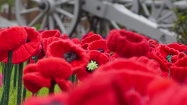 The extraordinary red carpet made up of 300 crocheted poppies (PHOTO)