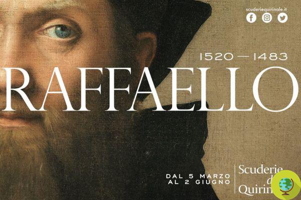 Raffaello : l'exposition la plus attendue de l'année rouvre en ligne, contrainte de fermer. Comment l'admirer de chez soi