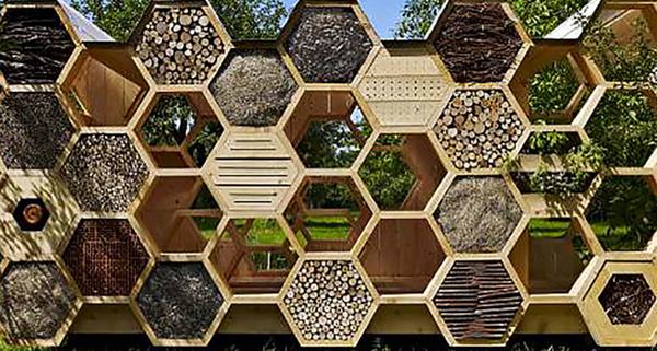 Bee Hotels to save pollinating insects (PHOTO)