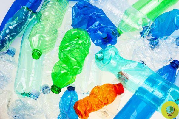 Garrafas de plástico recicladas liberam produtos químicos muito mais perigosos do que garrafas PET virgens: o estudo