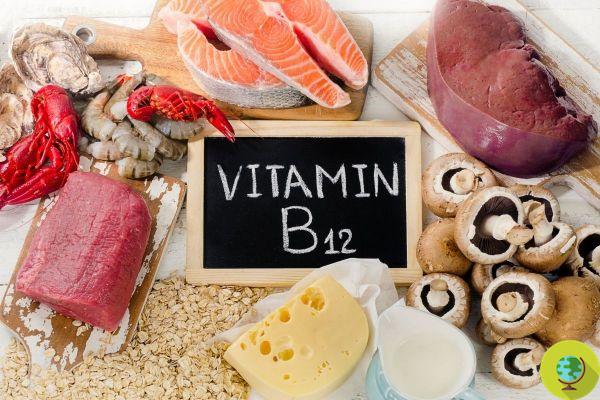 Vitamin B12 deficiency: symptoms, risks and how to meet the daily requirement