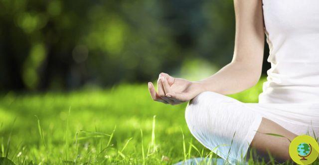 Yoga and meditation keep the doctor away every day: confirmation in a new study