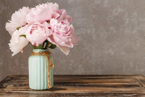 Peony: how to grow it, PRUNING and maintenance
