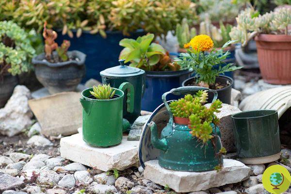Meubler le jardin avec des objets recyclés : des boîtes de conserve aux vieux vélos, des théières aux valises, voici de nombreuses idées originales