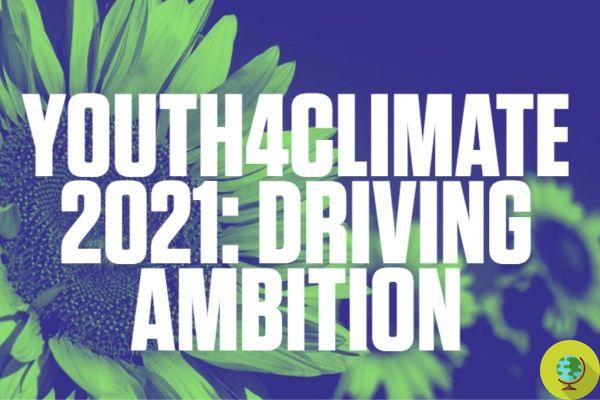 Clima Youth 4: os 4 desafios que 400 jovens de todo o mundo enfrentarão na Cop26