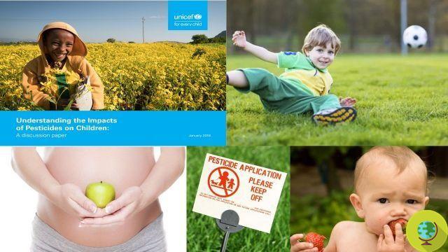Pesticidas e câncer: toxinas vêm de alimentos, crianças em risco