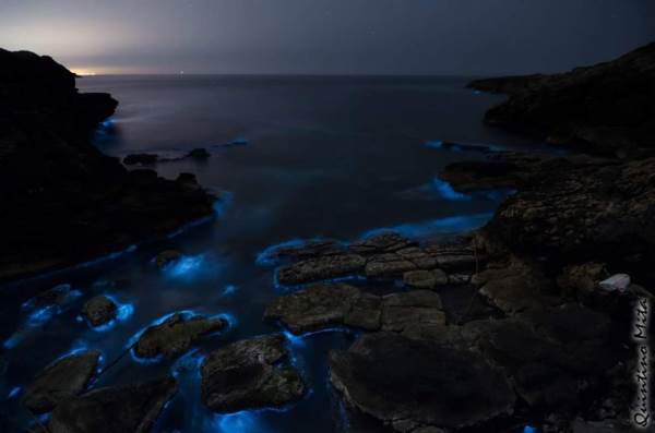 El mágico alga que tiñe de azul eléctrico el mar de Salento (FOTO)