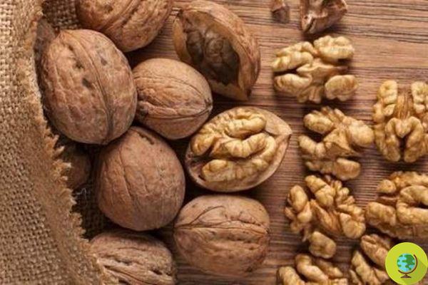 Walnuts help fight depression, especially in women. Word of science