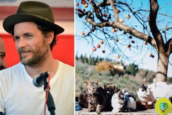 Jovanotti fait don de chemises et de chapeaux dédicacés pour sauver une colonie de chats abandonnés