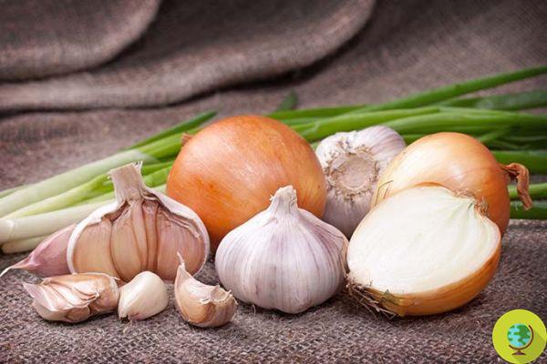 10 remedios naturales para acabar con el mal aliento provocado por el ajo y la cebolla
