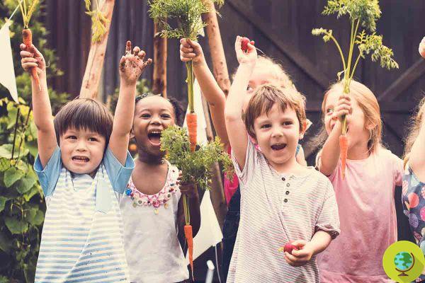 Les jardins scolaires sont d'excellents professeurs, enseignent aux enfants à manger sainement (et à améliorer leurs notes)