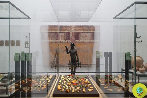 L'Antiquarium des fouilles de Pompéi rouvre aux visiteurs, avec un nouveau décor splendide