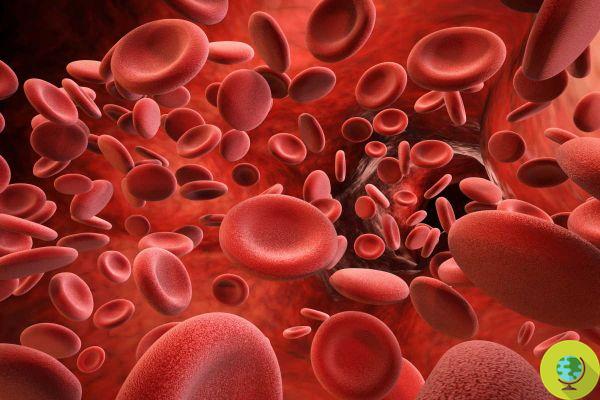Thrombocytopenia: what is it? What are the symptoms and signs of autoimmune disease causing platelets to drop