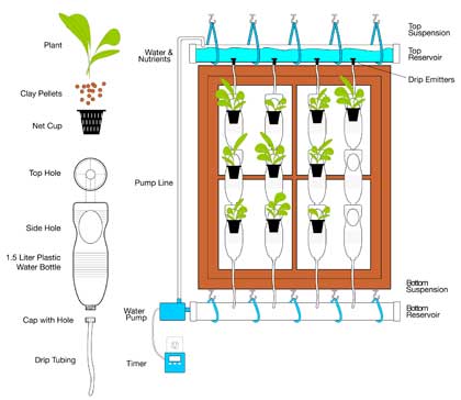 Windows Farm: how to build an urban garden on the window