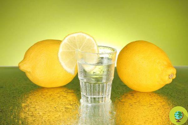 Afa : les 15 meilleures boissons pour étancher la soif et réhydrater le corps