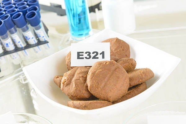 BHT (E321): the food preservative that promotes obesity